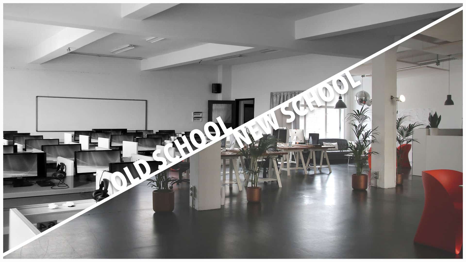 Advent of the New Office